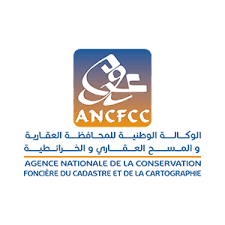 ANCFCC